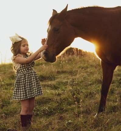 2026년 병오년 개띠 신년운세 총정리|무료로 보는 정확한 운세