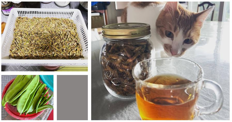 작두콩차만들기