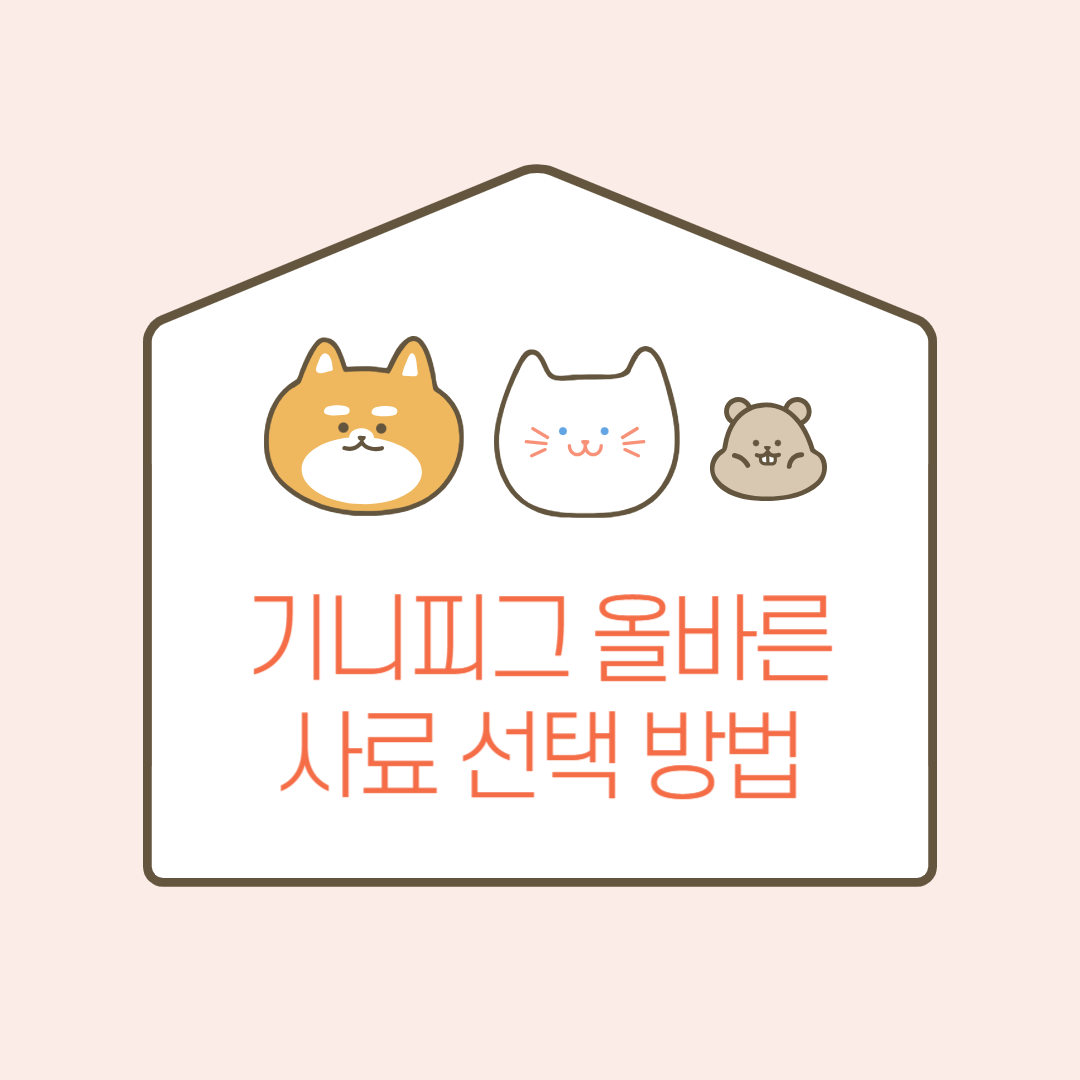 기니피그의 올바른 사료 선택법, 종류, 주의 사항