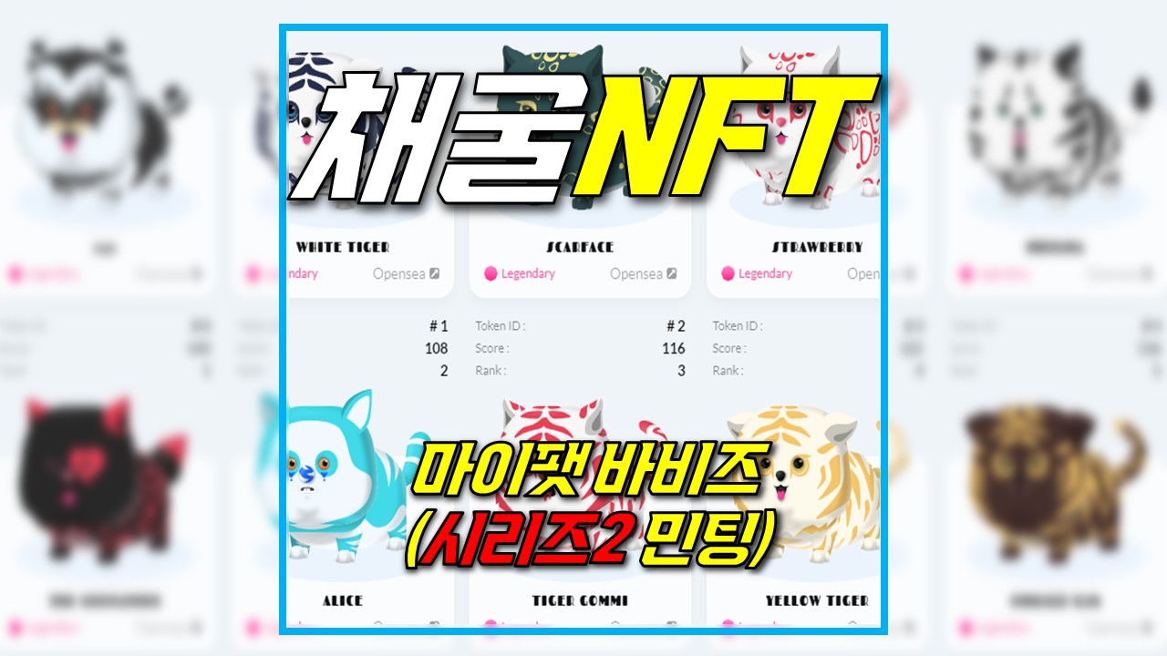 마이팻바비즈