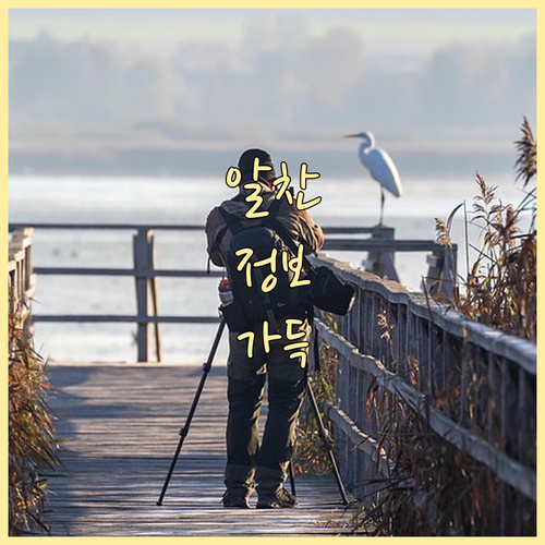 휘경동 쓰레기 버리기 일반 음식물 재..