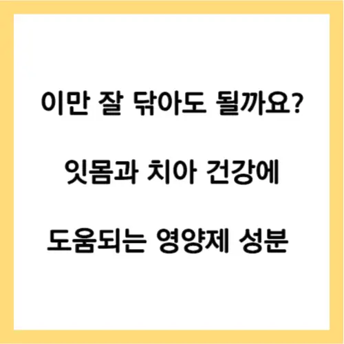 잇몸과 치아 건강