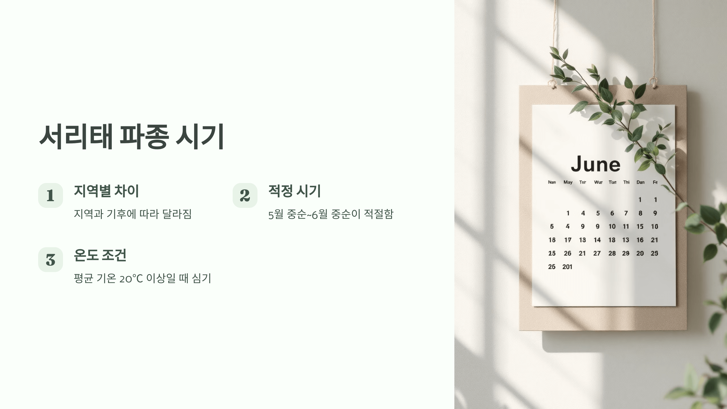 서리태 사진입니다.