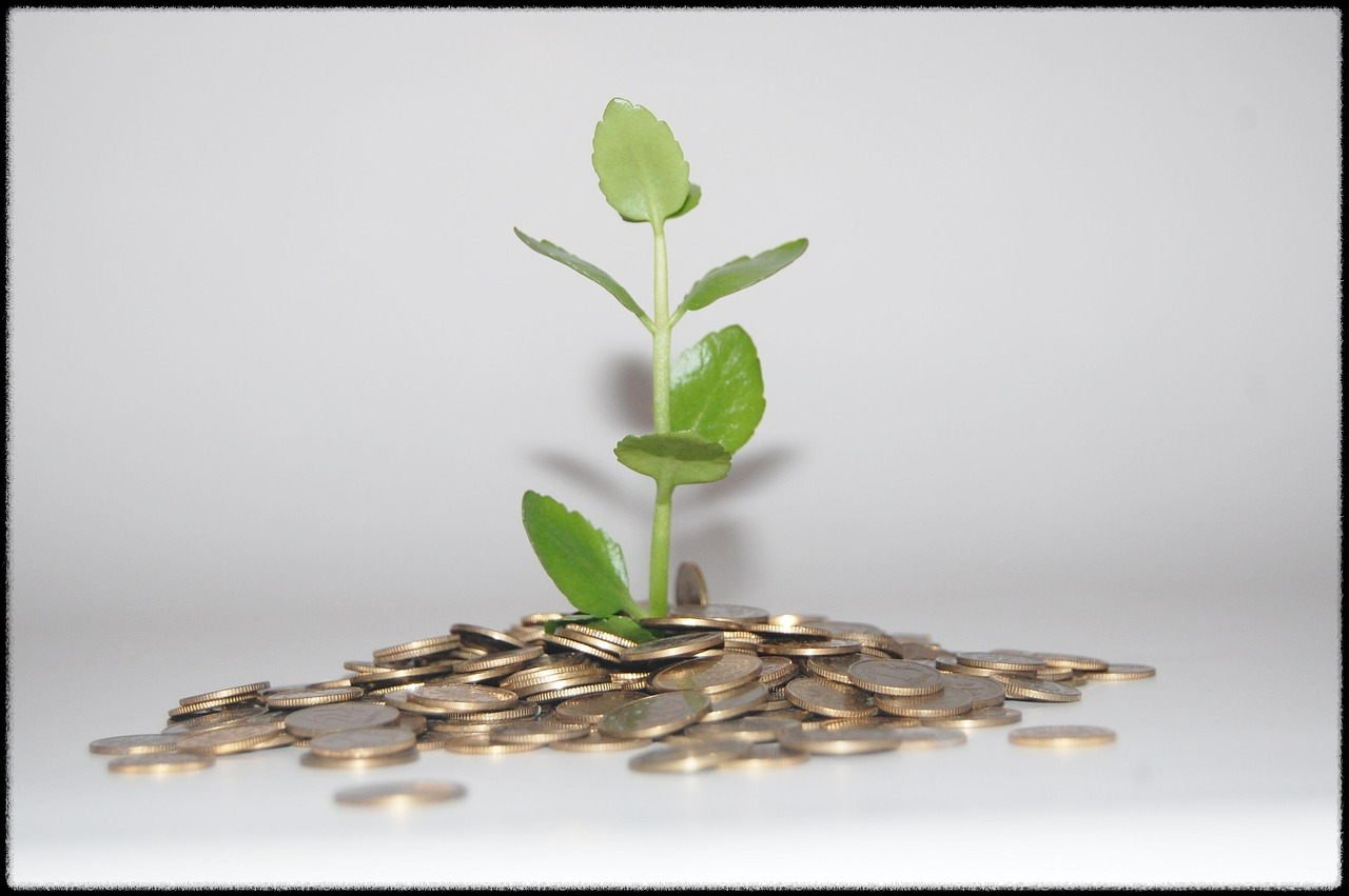 중고거래가 중장년 부가소득에 적합한가?