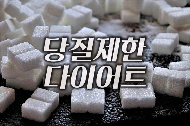 당질제한-다이어트