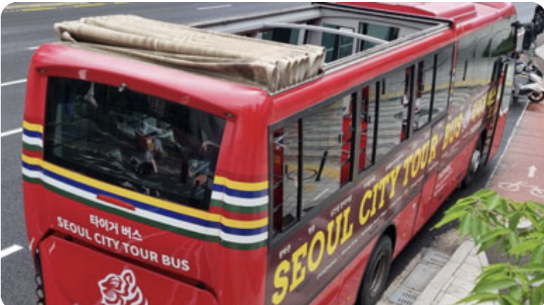 서울 시티투어버스 타이거 예약방법 가격 남산 노선 단풍 야경 꿀팁