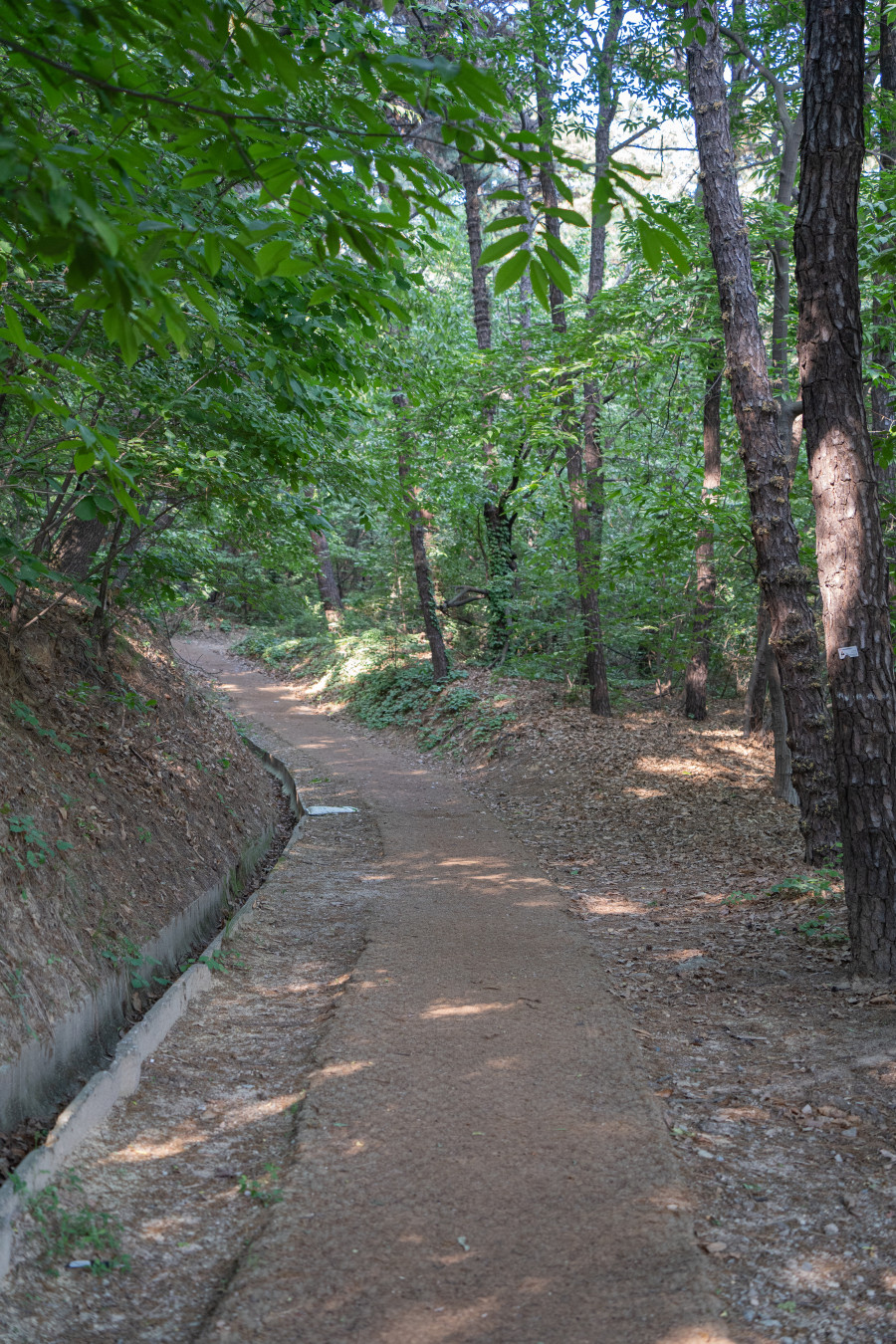 숙지산 산행