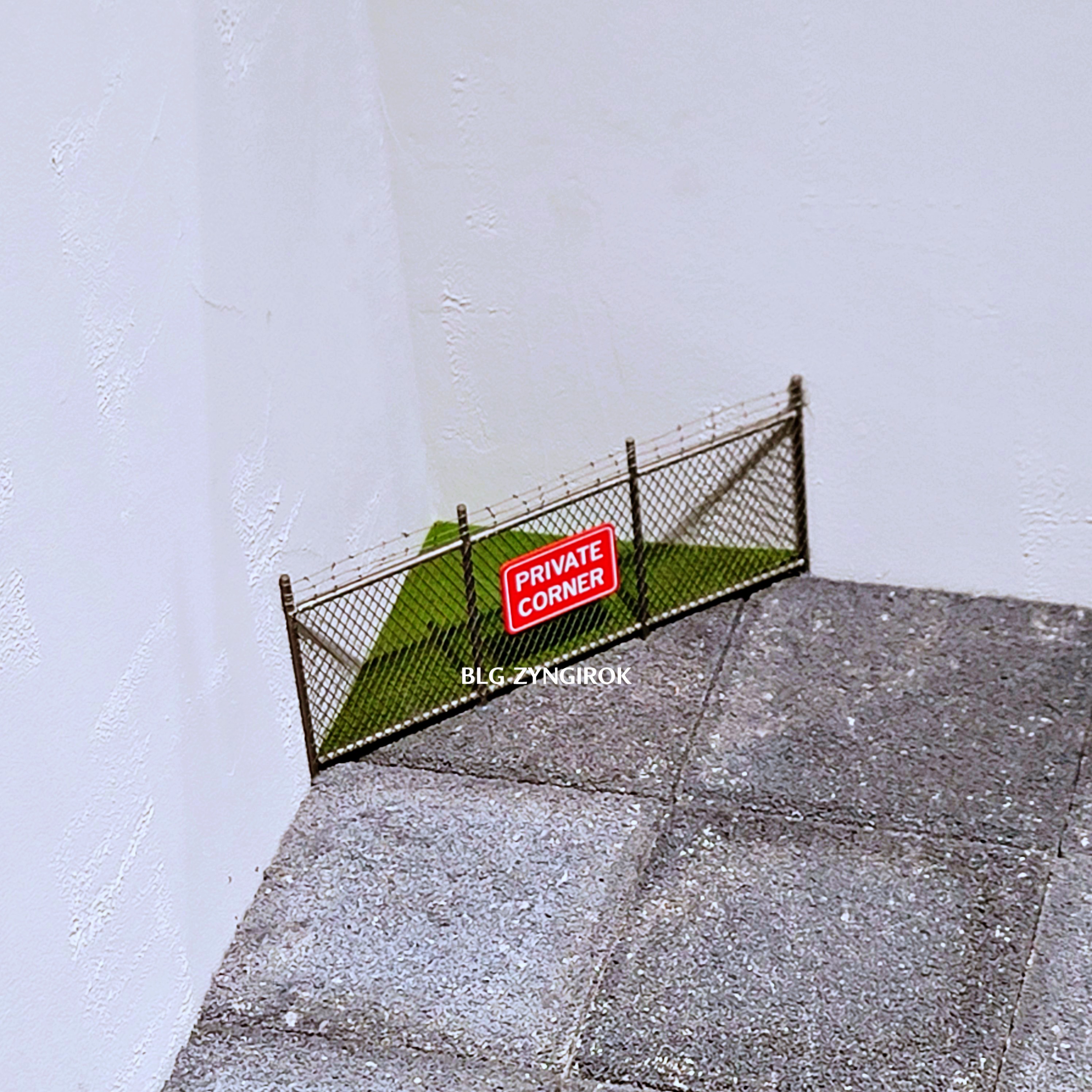Room for Wonder : MICHAEL PEDERSON - 작품 모습이다.