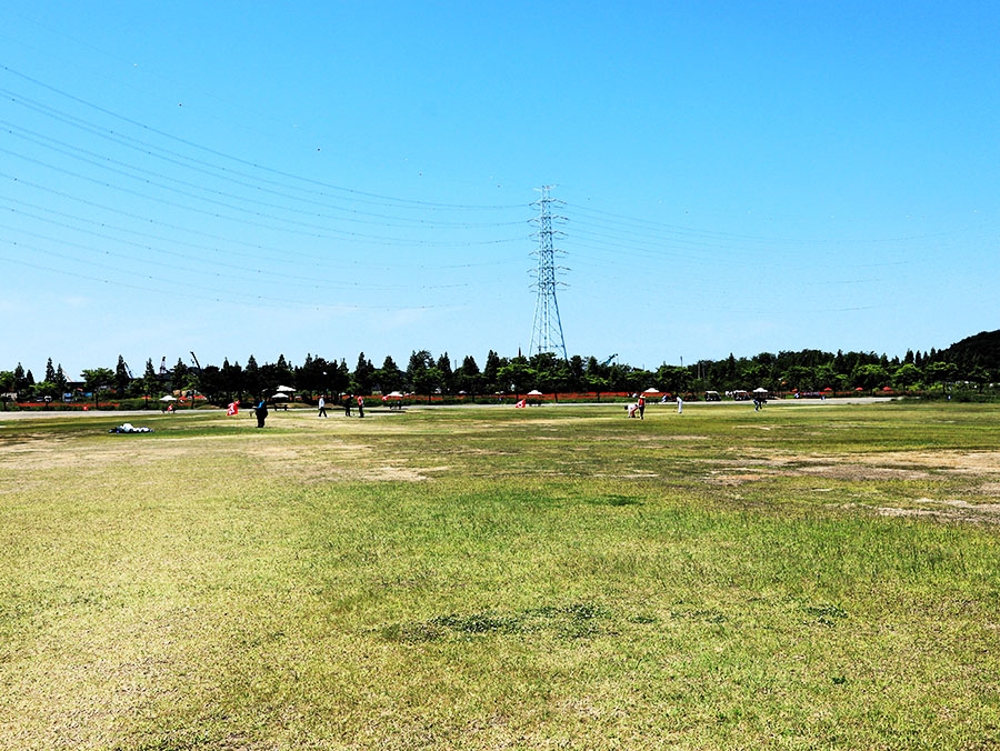 대부도파크골프장 (대부바다향기테마파크 페스티벌파크,
메타세콰이어길 파크골프장)