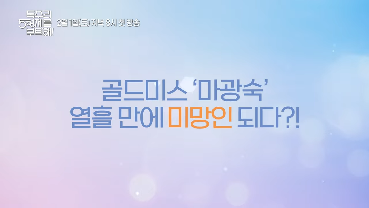 독수리 오형제를 부탁해 드라마