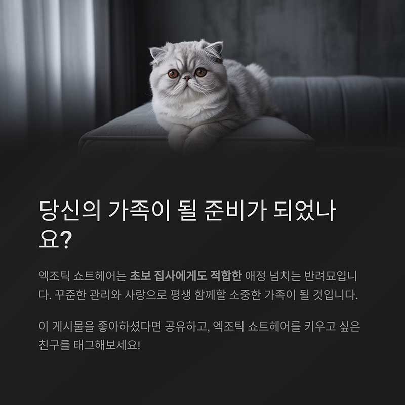 반려묘로 적합한가?