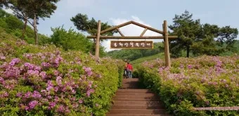 남원 봉화산 철쭉 산행 주차장 등산코스_16