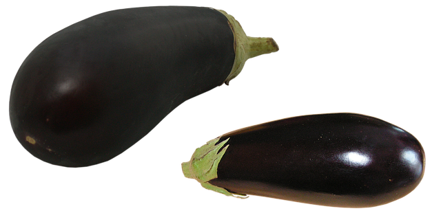 콜레스테롤 정상수치 기준 26