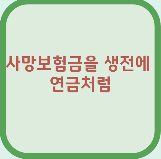 사망보험금을 생전에 연금처럼
