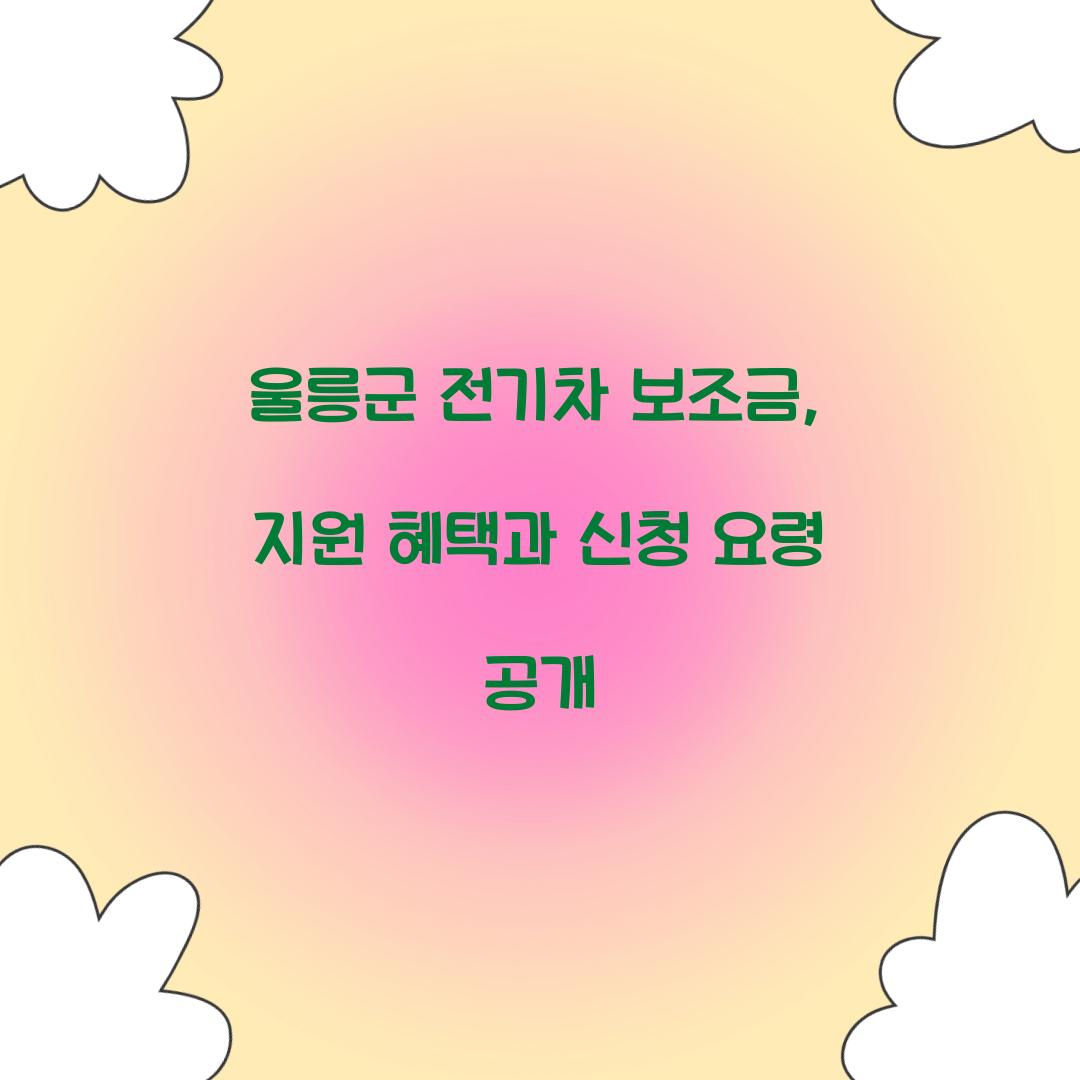 울릉군 전기차 보조금