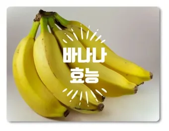 바나나 효능 식이섬유 포만감 운동 전후 효과_9