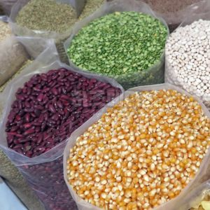 이상지질혈증 식이요법과 운동