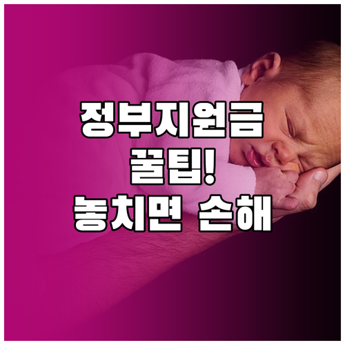 정부지원금 상생페이백과 민생회복쿠폰 ..