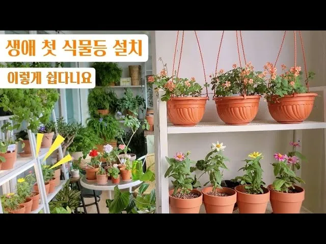 식물등 설치 위치높이 시간대설정 광량부족 해결 겨울철 성장 돕기_2