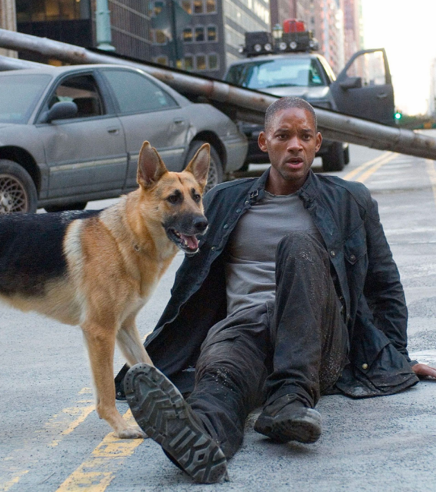 나는 전설이다 네빌과 샘