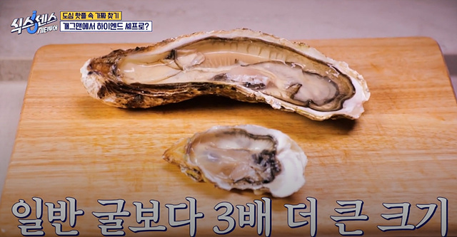 식스센스 시티투어 강남 이동자 오마카세 철권게이머 무당