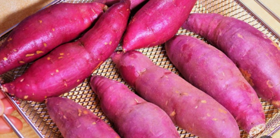 주요 비타민의 종류와 각각의 효능(역할)과 부족시 현상 그리고 부작용