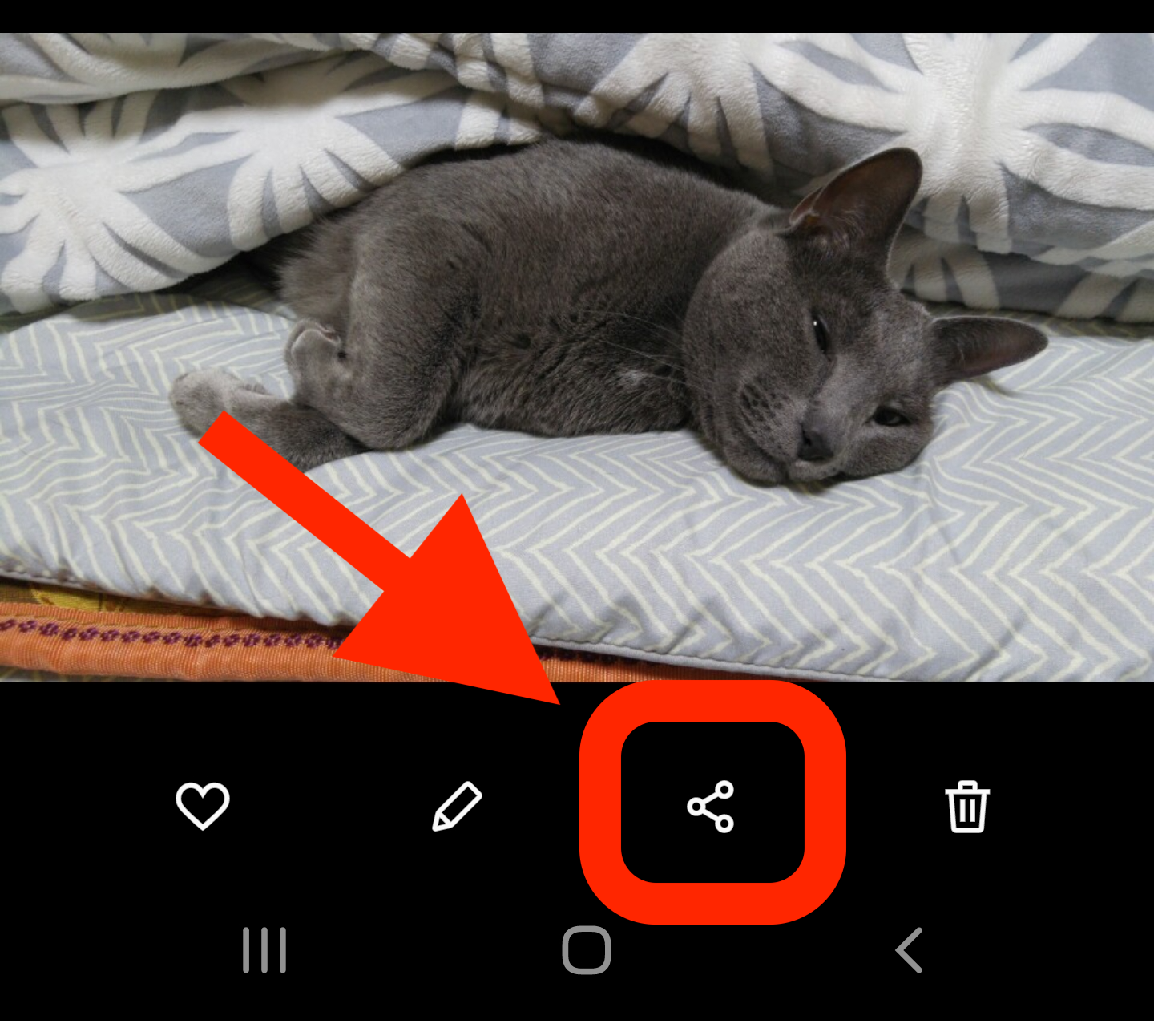 안드로이드 스마트폰에서 맥북으로 파일전송 방법 Nearby Share, NearDrop
