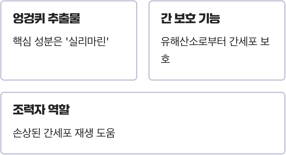 밀크씨슬, 정확히 어떤 일을 하나요?