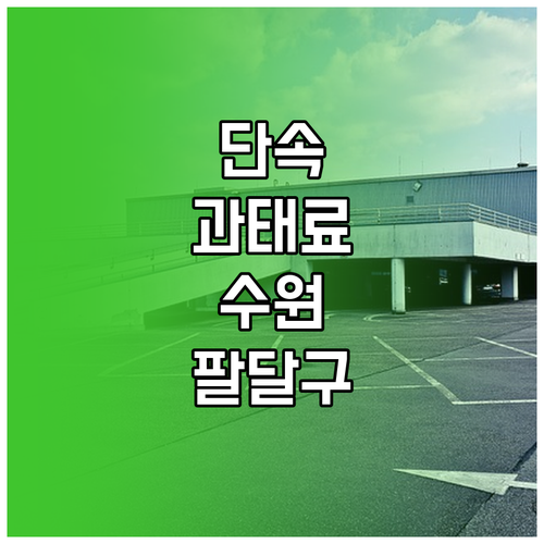 과태료 아끼는 수원 팔달구 주정차 단..