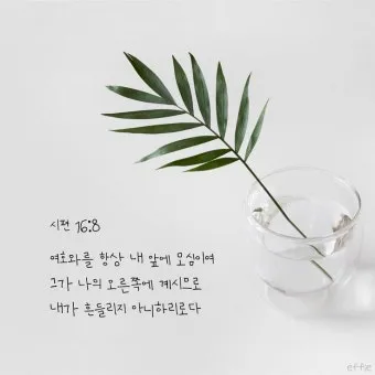 시편 85장 10절 읽기 - 인자와 진리가 같이 만나고 의와 화평이 서로 입맞추었으며_25