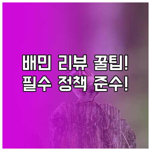 업주와 소비자 모두에게 도움 되는 배..