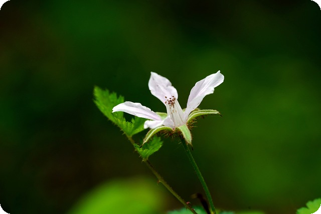 Afyami reflection moment
![