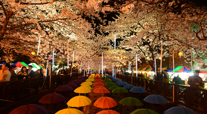 진해 군항제 일정