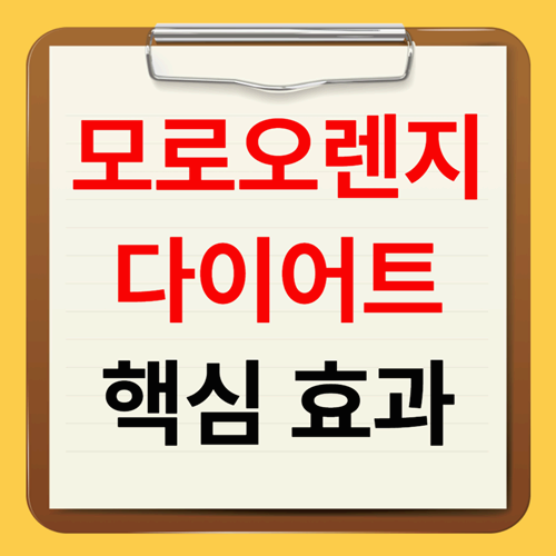 모로오렌지 다이어트 복용법