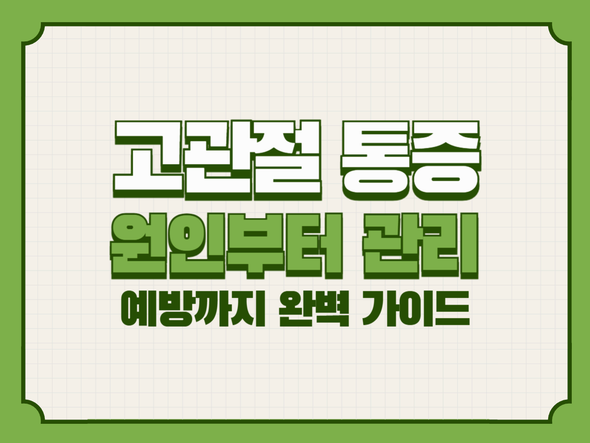 고관절 통증 – 원인부터 관리·예방까지 완벽 가이드