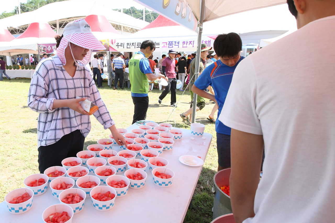 2025 제15회 진안고원 수박축제 완벽 가이드 ❘ 한여름 달콤한 진안 여행의 필수 코스