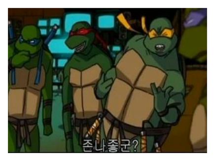 거북이 꿈해몽