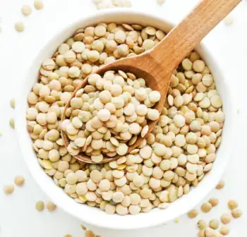 렌틸콩 효능 및 영양성분&amp;#44; 주의점