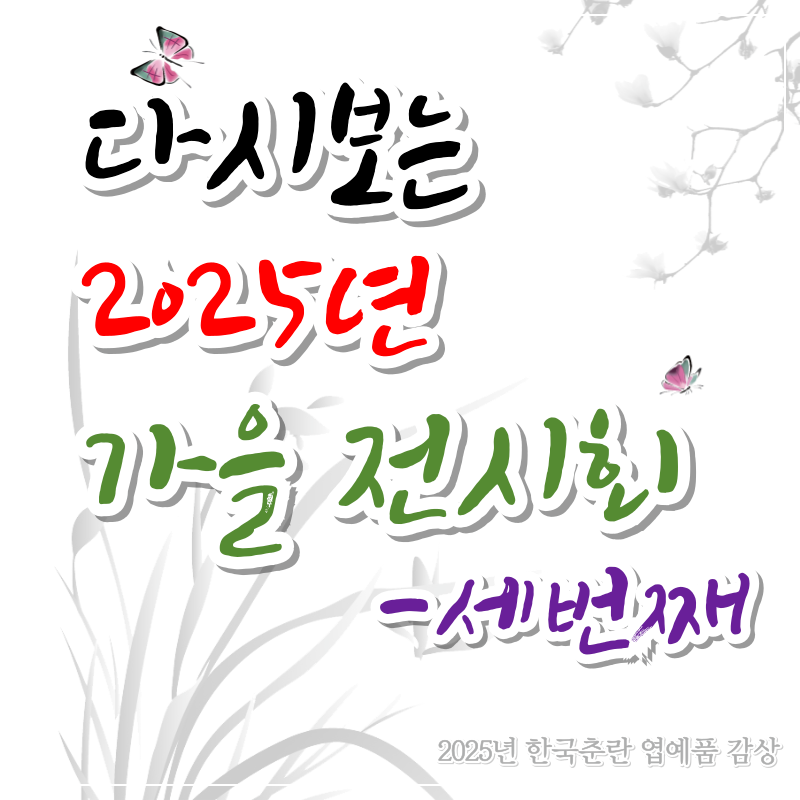 한국춘란 엽예품 가을 전시회 감상