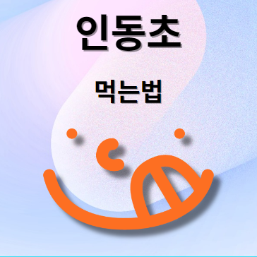 인동초 먹는법