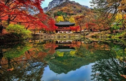 11월 단풍축제 가볼만한곳 BEST 10