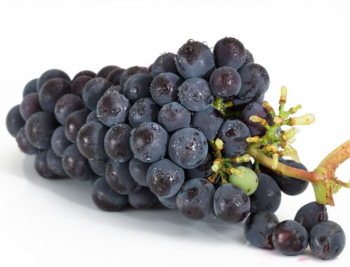 포도