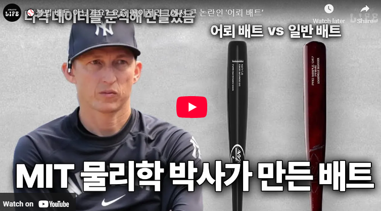 어뢰배트 뜻 모양 토피도배트 정체