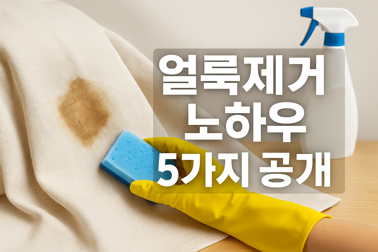 의류 얼룩제거 노하우 대공개 5가지 입니다.