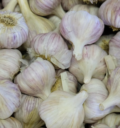 마늘 효능 효과 부작용 당뇨 혈관 건강