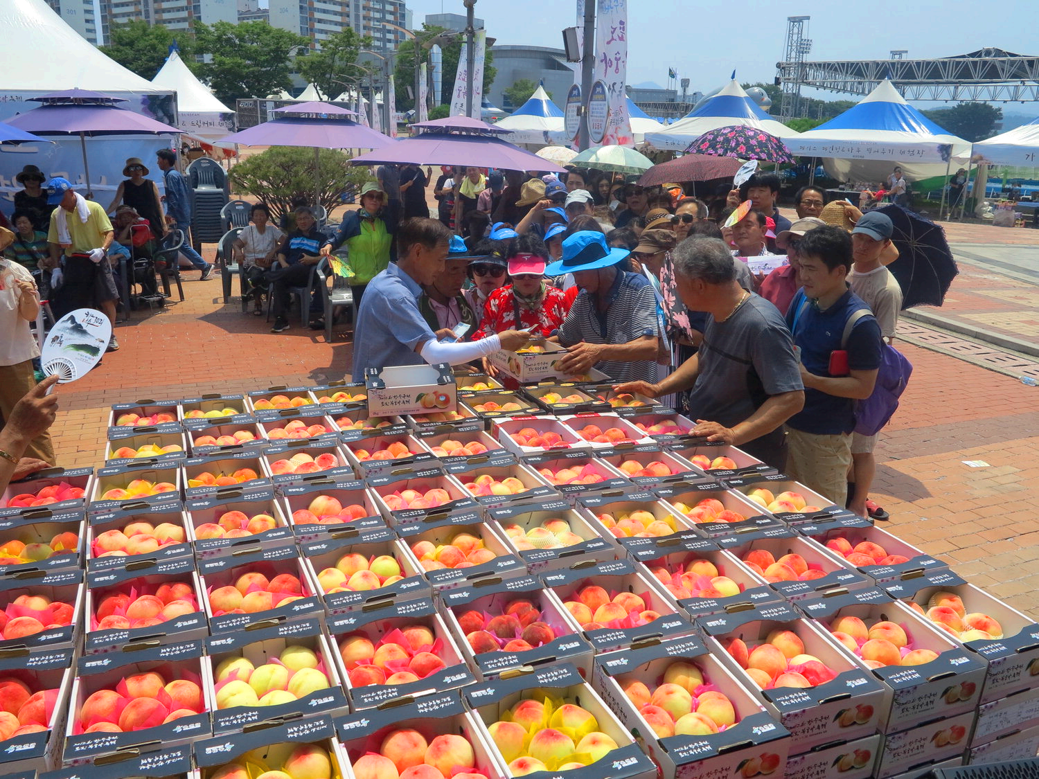 향수 옥천 포도 복숭아축제