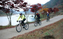 곡성세계장미축제 기본정보