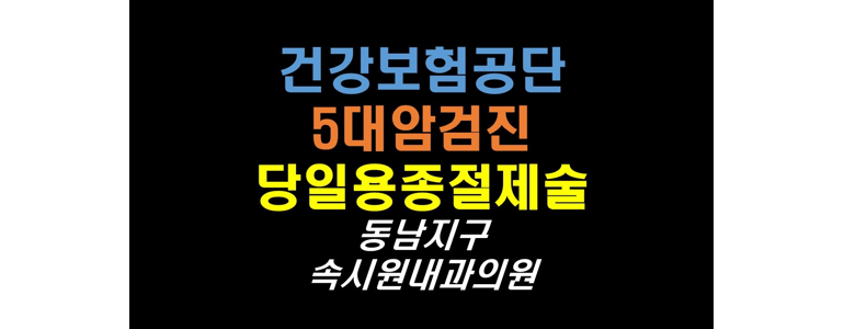 보은군 내과