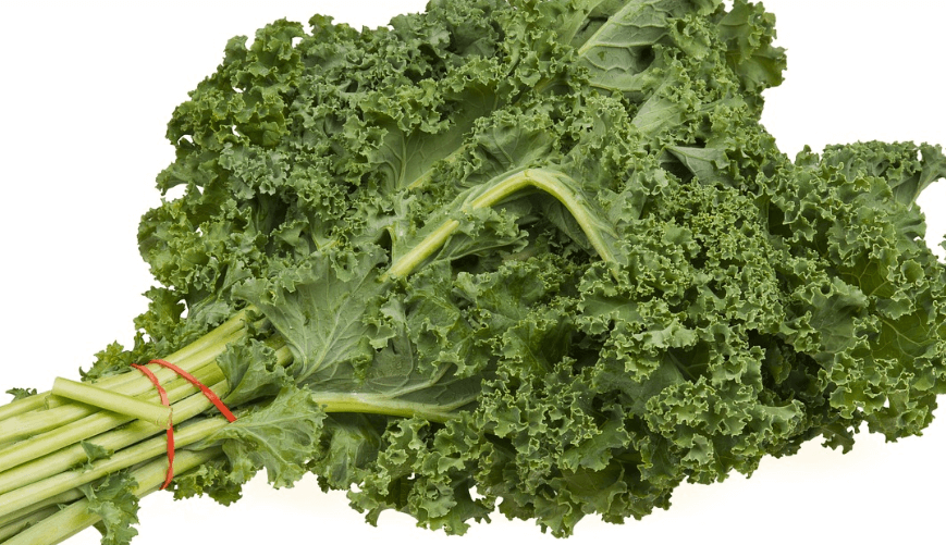 뇌에 좋은 음식 - 00121