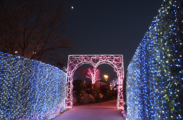 파주 퍼스트가든